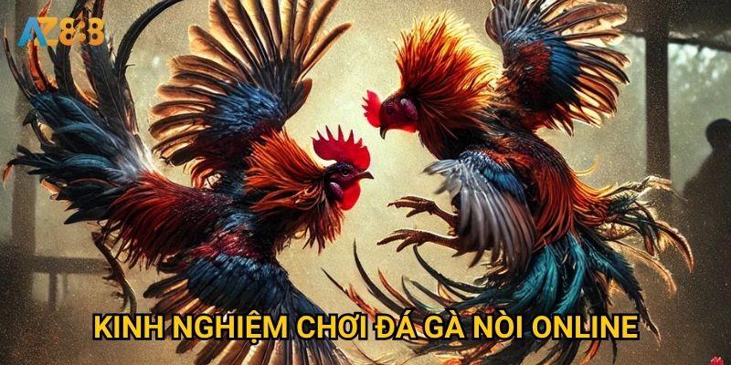 Kinh nghiệm chơi đá gà nòi online